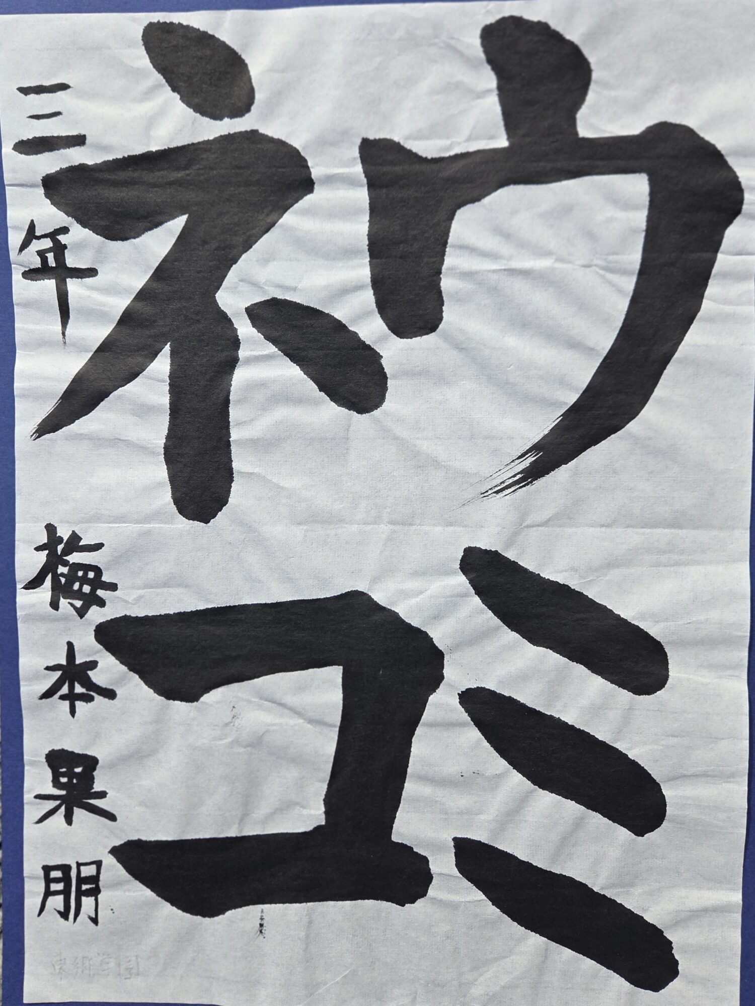 銅賞　ウミネコ